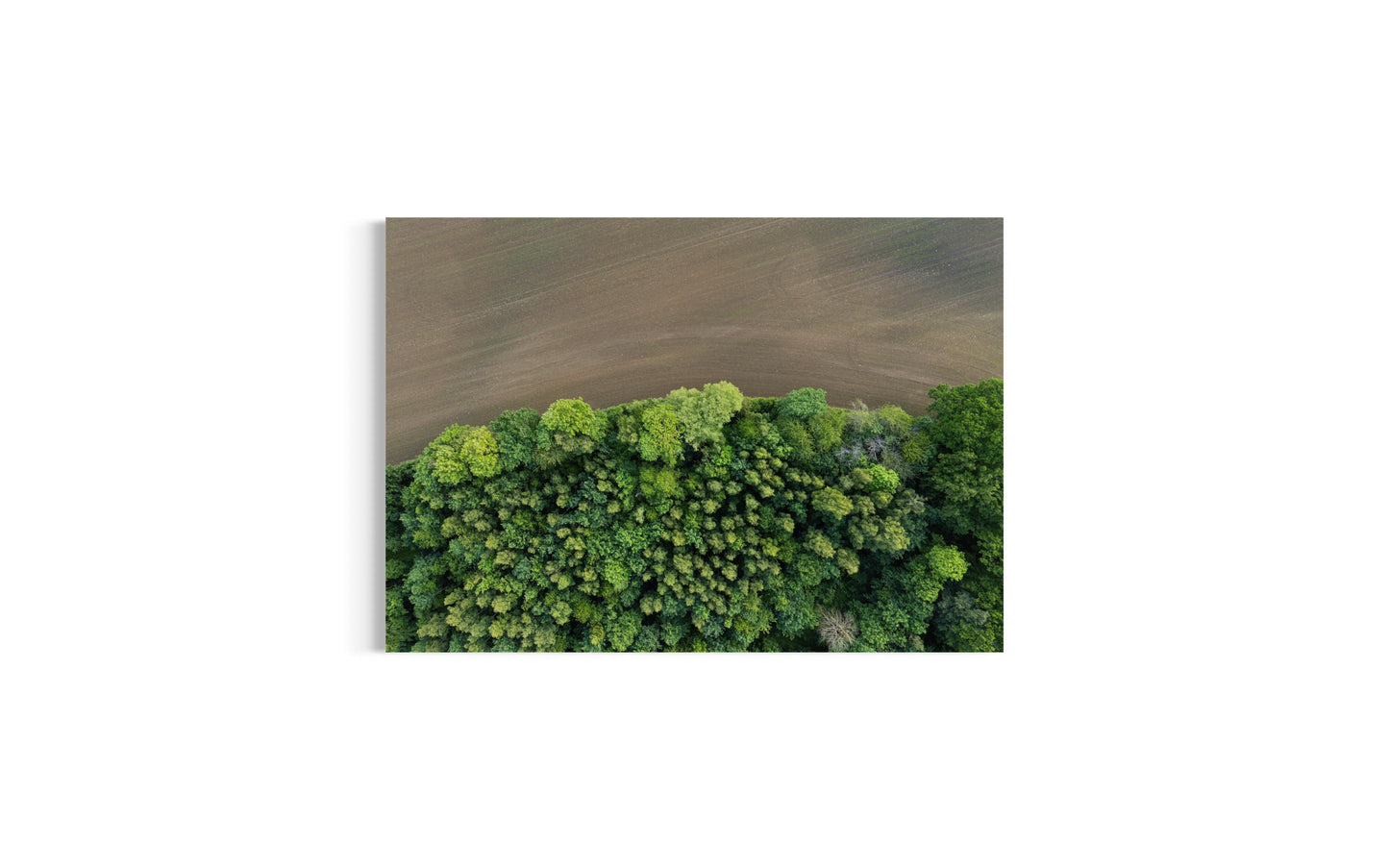 Summer Contrast | Dronebillede fra Danmark