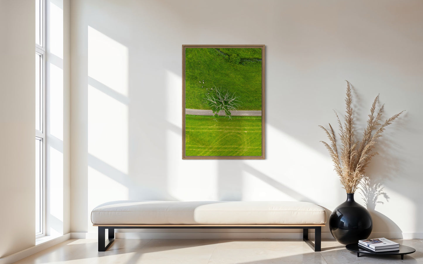 Sheep Field | Dronebillede fra Danmark