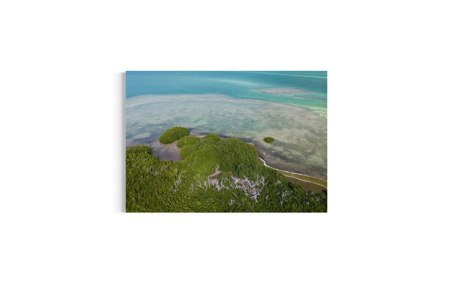 Key Largo Nature | Dronebillede fra Florida