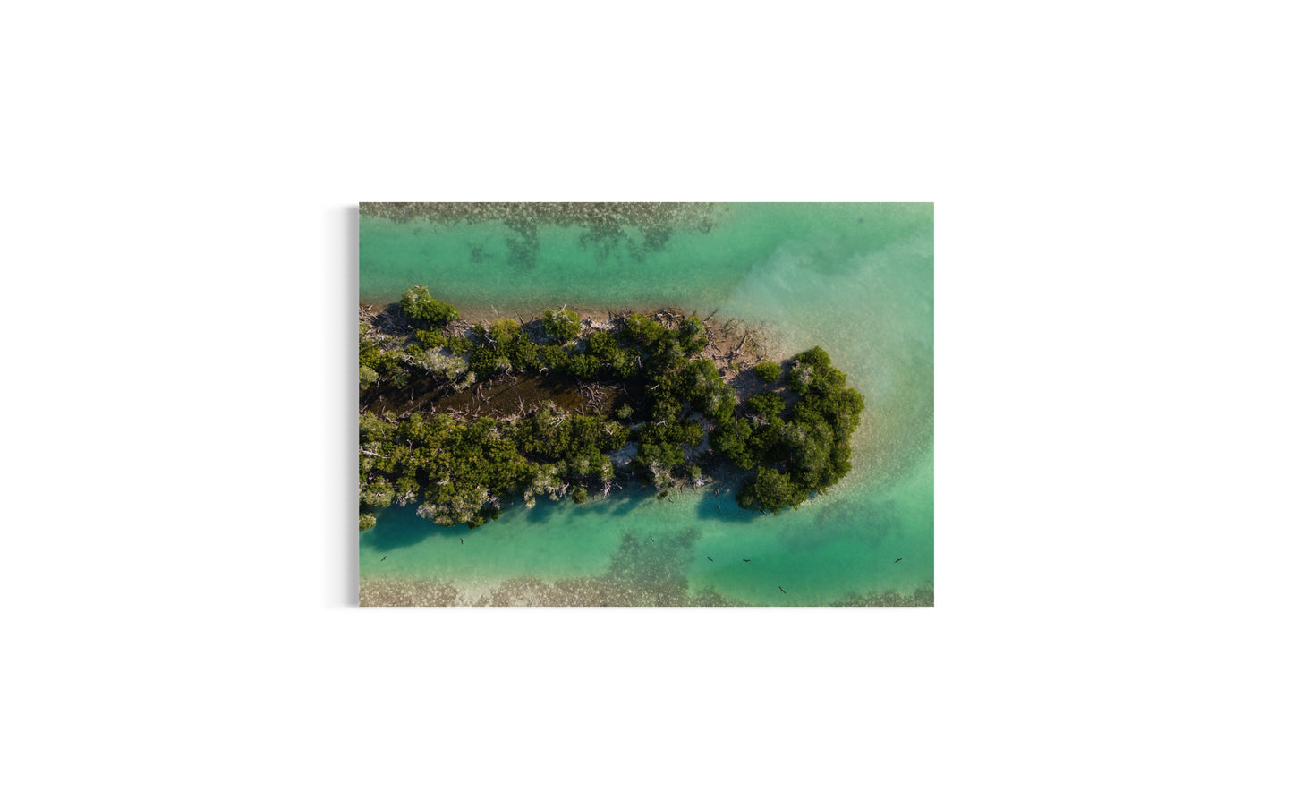 Indian Key | Dronebillede fra Florida