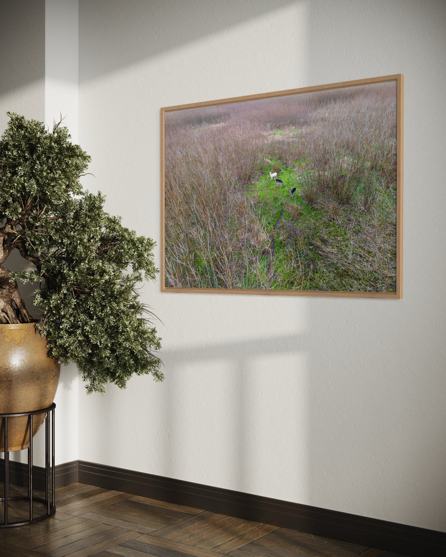 Landskabsbillede af pilemark med rådyr. Dronebillede af landskab, natur og arkitektur trykt som plakat eller på lærred til hjemmet