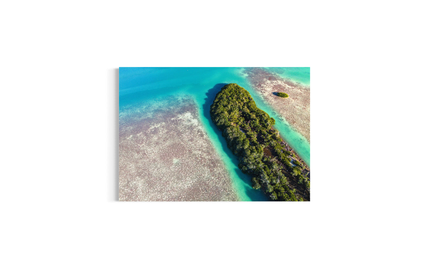 Sunny Florida | Dronebillede fra Florida