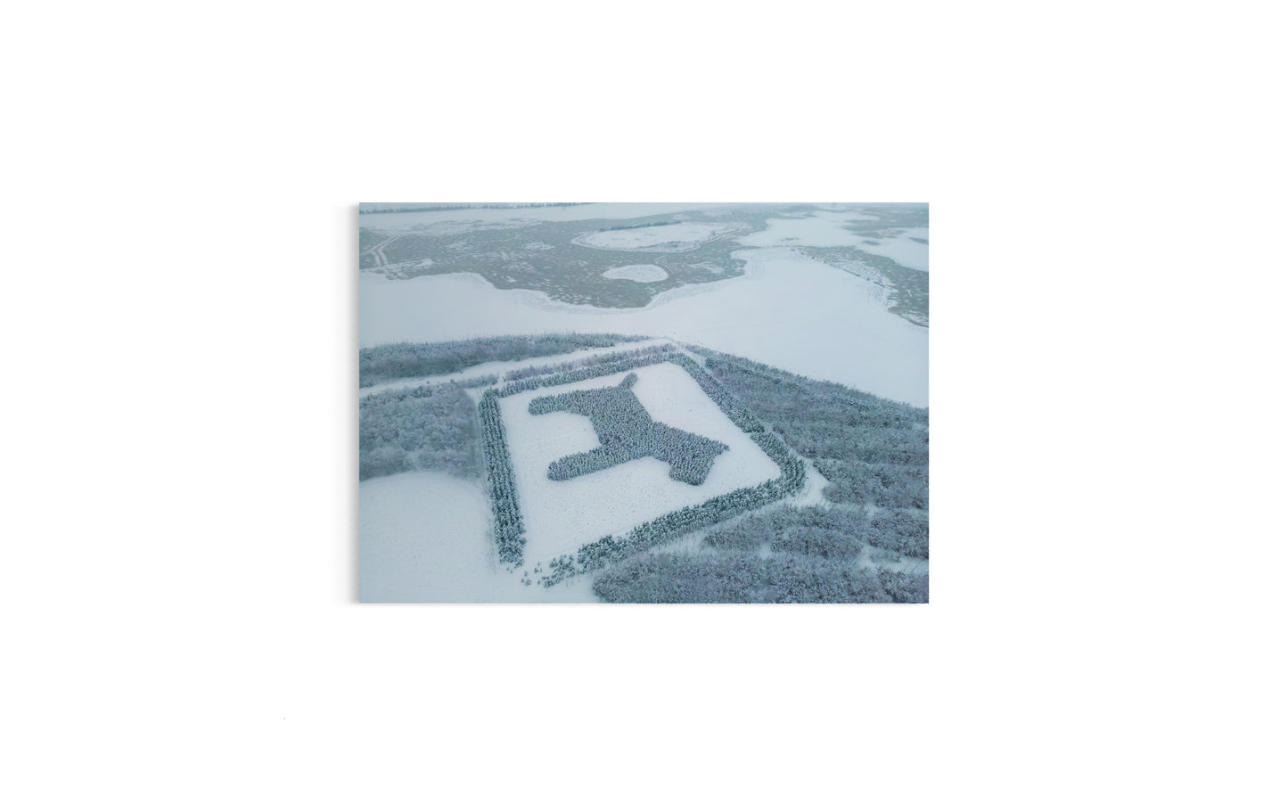 Landskabsbillede af hundeskoven ved Støvring der har form som en hund. Dronebillede af landskab, natur og arkitektur trykt som plakat eller på lærred til hjemmet.