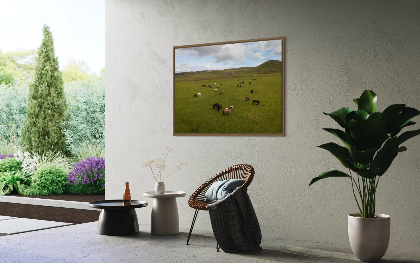 Landskabsbillede af en flok Islandskeheste på Island . Dronebillede af landskab, natur og arkitektur trykt som plakat eller på lærred til hjemmet.