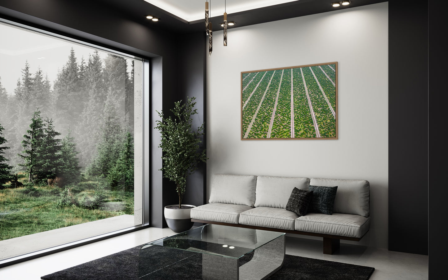 Landskabsbillede fra en mark med juletræer ved Svendborg set fra oven. Dronebillede af landskab, natur og arkitektur trykt som plakat eller på lærred til hjemmet
