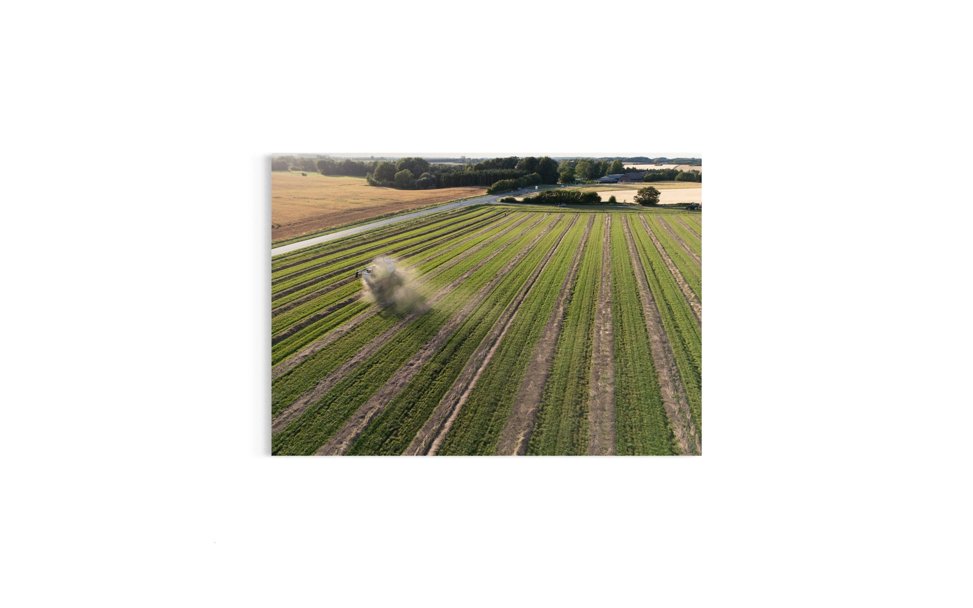 Landskabsbillede af høsten som er begyndt. Dronebillede af landskab, natur og arkitektur trykt som plakat eller på lærred til hjemmet.