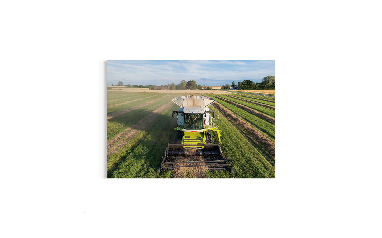 Landskabsbillede af høsten som er startet ved Hesselager på Fyn. Dronebillede af landskab, natur og arkitektur trykt som plakat eller på fotolærred til hjemmet