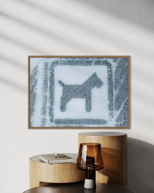 Landskabsbillede af en hundeskov ved Støvring, formet som en hund. Dronebillede af landskab, natur og arkitektur trykt som plakat eller på lærred til hjemmet