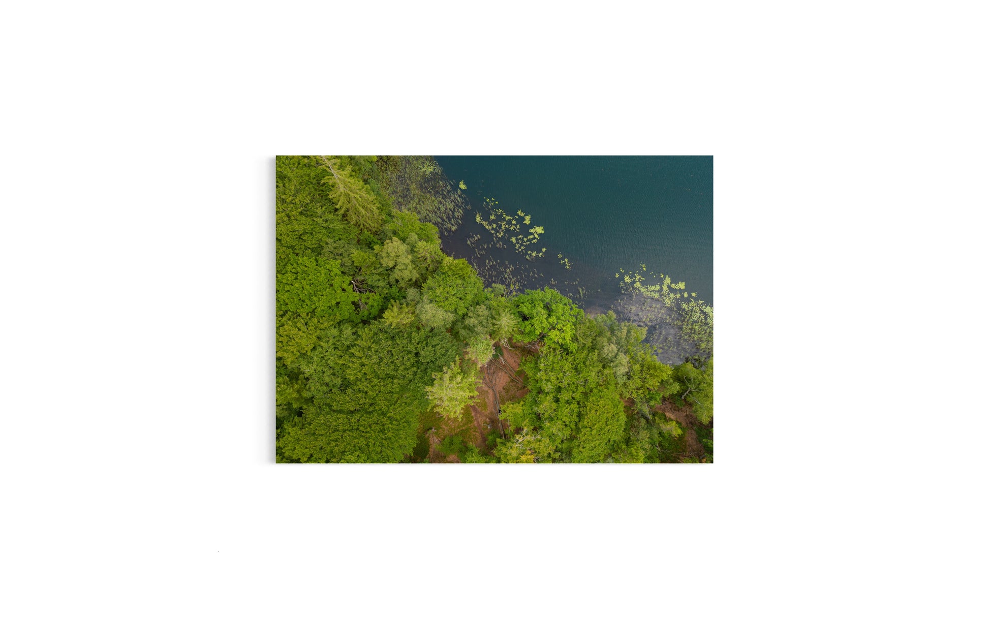 Landskabsbillede af skovbredden ved Almindsø ved Silkeborg. Dronebillede af landskab, natur og arkitektur trykt som plakat eller på lærred til hjemmet.