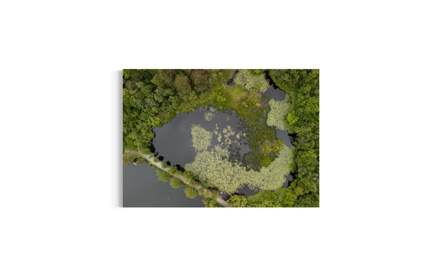 landskabsbillede af en sø og skov i Stavanger. Dronebillede af landskab, natur og arkitektur trykt som plakat eller på fotolærred til hjemmet. 