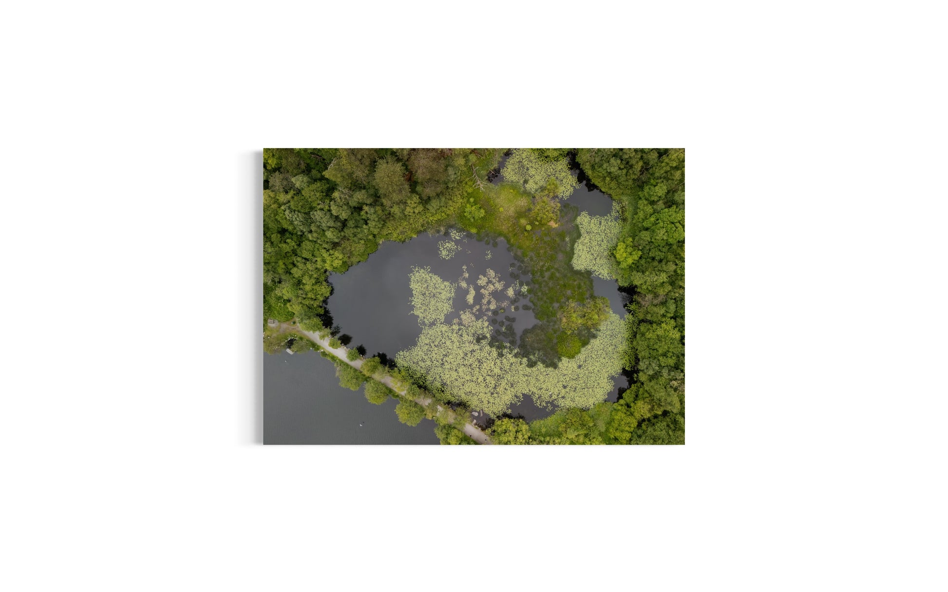 landskabsbillede af en sø og skov i Stavanger. Dronebillede af landskab, natur og arkitektur trykt som plakat eller på fotolærred til hjemmet. 