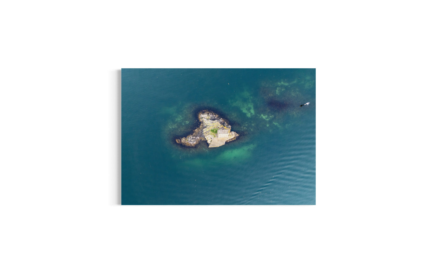 landskabsbillede af en ensom hytte på en lille udenfor Stavanger. Dronebillede af landskab, natur og arkitektur trykt som plakat eller på lærred til hjemmet.
